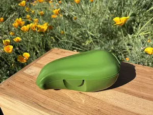 Chile verde Storage container