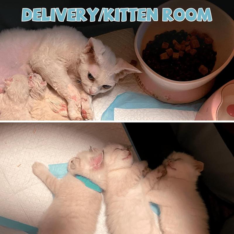 Pet Maternity Room,Octagonal Pet Tent Foldable Portable Oxford Cloth Cat and Dog Nest Outdoor Easy Operation Large Dog Cages Cat Fences Litter Box Enclosure Kittens Suitable Size Space Foldable cat and dog cage Safe Reliable