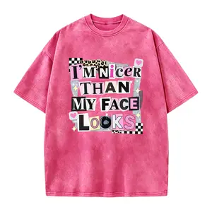 Funny Sarcastic Shirt, Im Nicer Than My Face Looks Tee, Aesthetic Shirt, Sassy Quote Graphic Tee