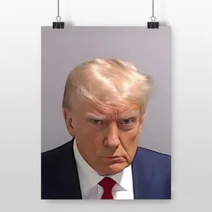 [Sale off up to 65%][Free Ship][No Frame] Trump Mugshot Poster Print