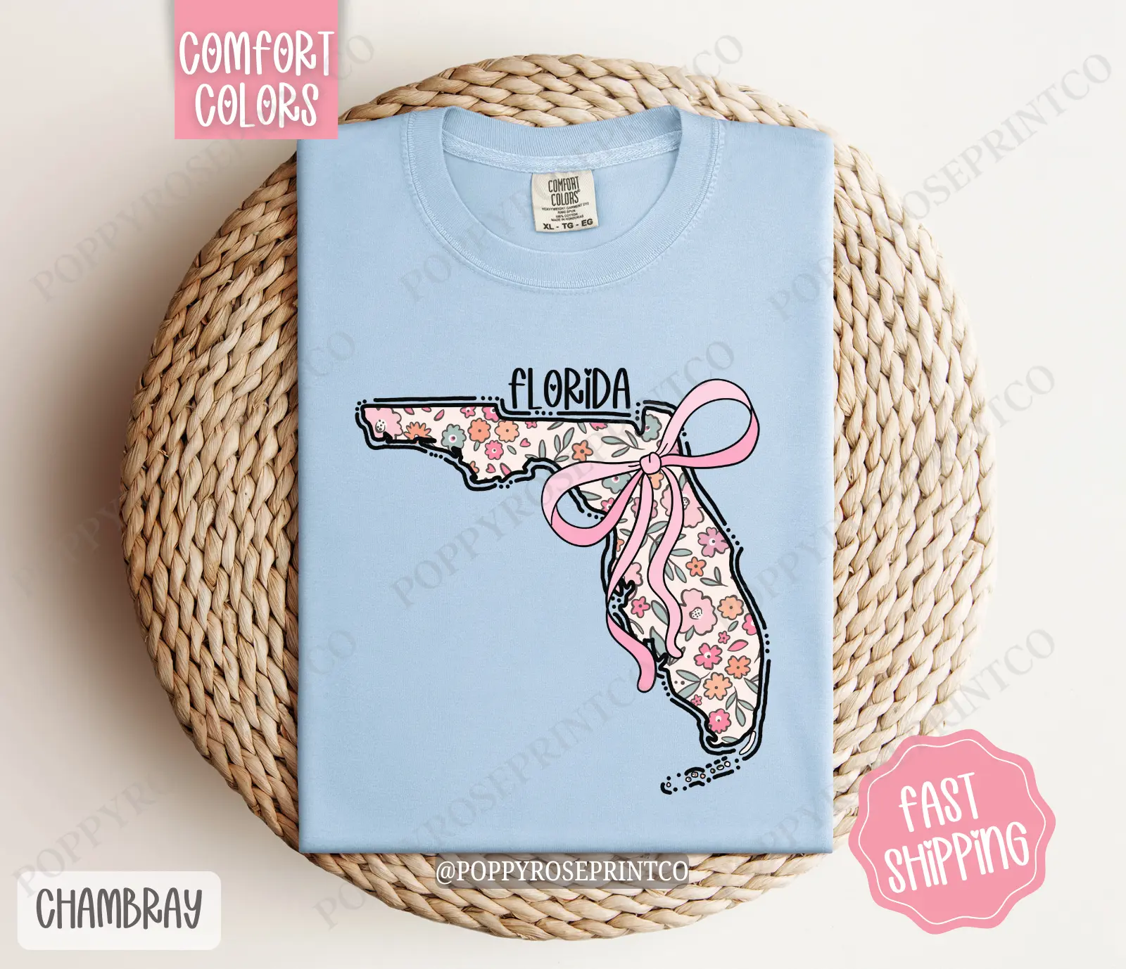 Florida Comfort Colors State Tshirt, Cute Florida Shirt, Florida Tshirt, Florida Shirt