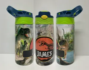 Dinosaurs T Rex Personalized 12 20 oz Kids Water Bottle Double Wall Insulated Stainless Steel Bottle Back to School Kids Bottle, Travel Cup, Personalized Gift