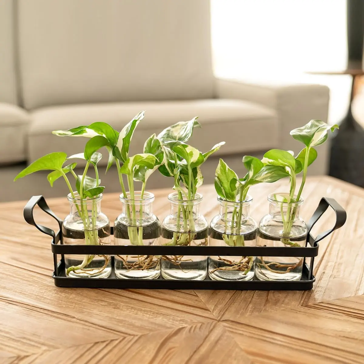 Mkono Propagation Stations with Metal Stand, Desktop Plant Terrarium Glass Planter Vase for Hydroponic Plants Flower Cutting Home Office Garden Decor Plant Lover Gifts, 5 Jars
