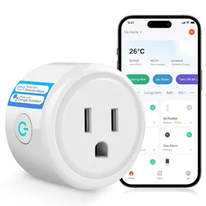 WiFi  Plug,  Plugs Outlet Compatible with Alexa &  Voice Assistant, App Controlled Outlet with Timer Function, 2.4GHz Only   Socket,  Plug Timer for