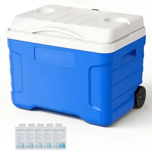 Hard Cooler, 21-Quart Portable Rolling Cooler With Wheels, Leak-Resistant Ice Retention Coolbox Keeps Contents Cold For 48 Hours, Insulated Storage Chest, Ultra-Light Outdoor Travel Cooler For Picnics, Grilling And Camping