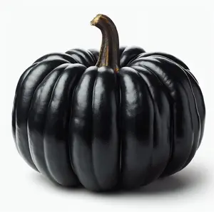 Black Night Pumpkin Seeds | 10 Seeds Packet | True Black Pumpkin Seeds