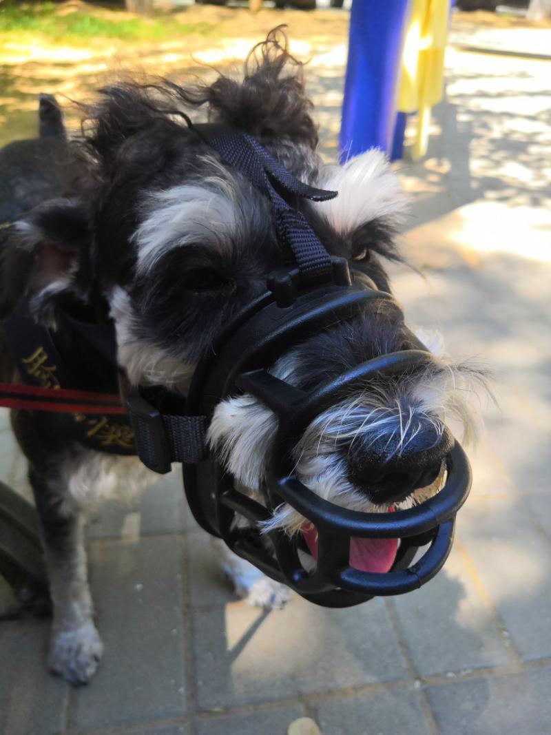 Muzzle - Soft Silicone Pet Dog Muzzle Anti-biting Stop Barking Chewing Mask Adjusting Pets Muzzles for Small Medium Large Dog Supplies Rechargeable Anti-Barking bark