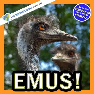 Emus!: A My Incredible World Picture Book for Children (My Incredible World: Nature and Animal Picture Books for Children) Paperback – November 17, 2025