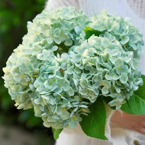 5 Pcs Hydrangea Artificial Flowers, Faux Silk Hydrangea Flores with Stems, Fake Flowers for Wedding Bouquet Office Party Coffee Tables Vase Outdoor Decor (Green, 18.5 Inches)