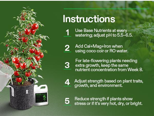 VIVOSUN Bloom Juice (0-6-4), Flowering Supplement Liquid Fertilizer for Flowering Stage, Concentrated Plant Food for All Flowering Plants, 32 Ounces/1 Quart