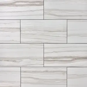 Flamen Blanco 12x24 Matte Porcelain Tile  Sample