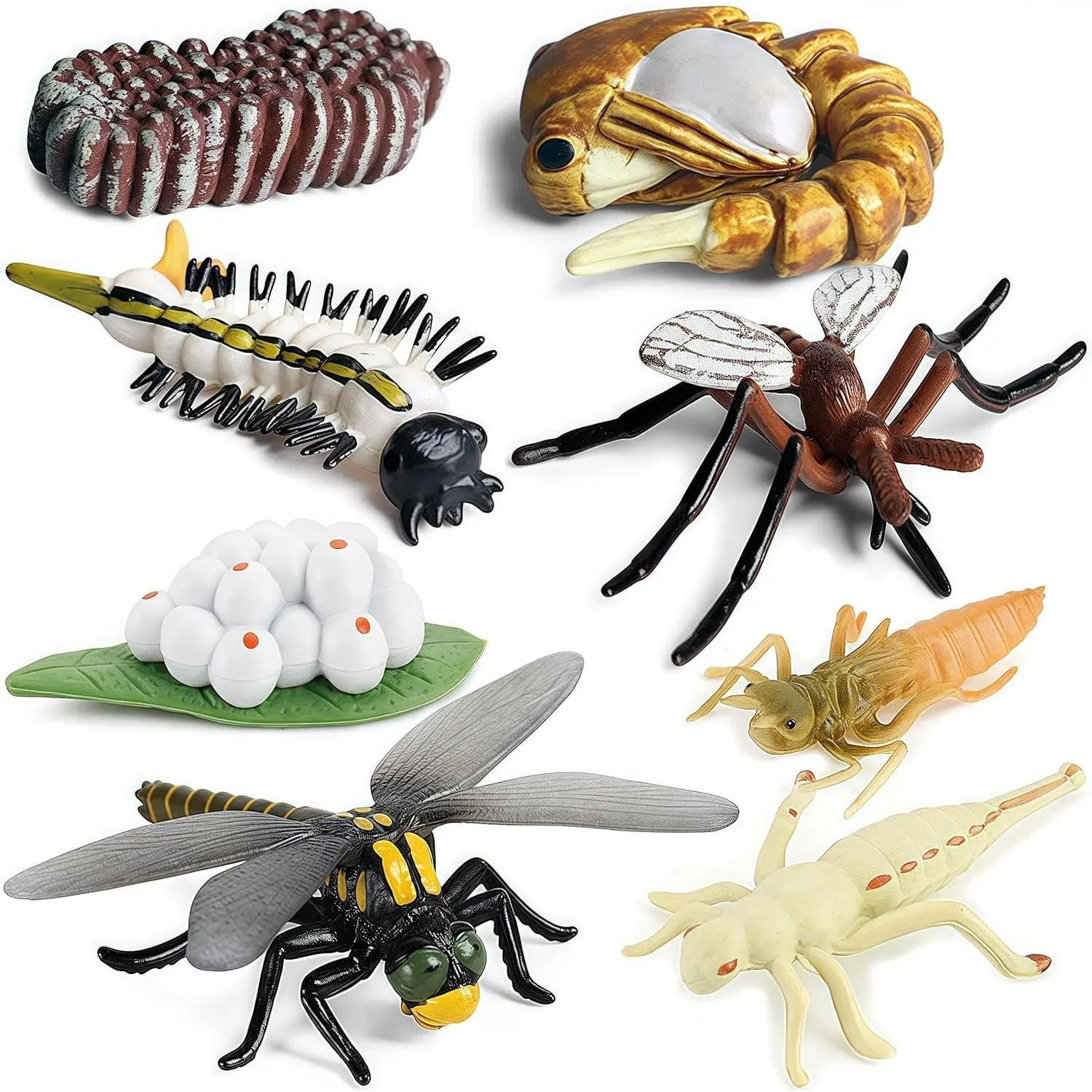Gemini & Genius Life Cycle of Mosquito and Dragonfly Figurines, Insect ...