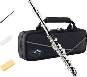 Black  Piccolo Key of C 2-  for Beginner, , Student with Hard Case, Cleaning Rod, Cloth and Gloves