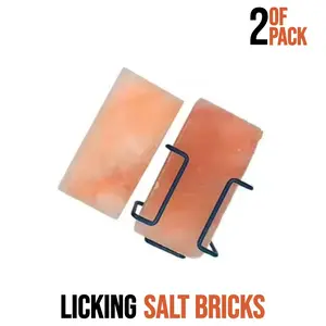 Himalayan Salt Lick Bricks and Blocks - Pack of 2