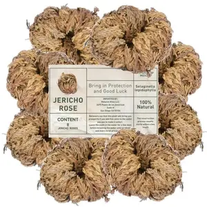 Large Jericho Flower (2.5"–3.5") – Premium Rosa de Jericho | Resurrection Plant for Unique Home Decor