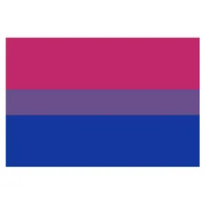 Bisexual Bi Pride Flag 3x5