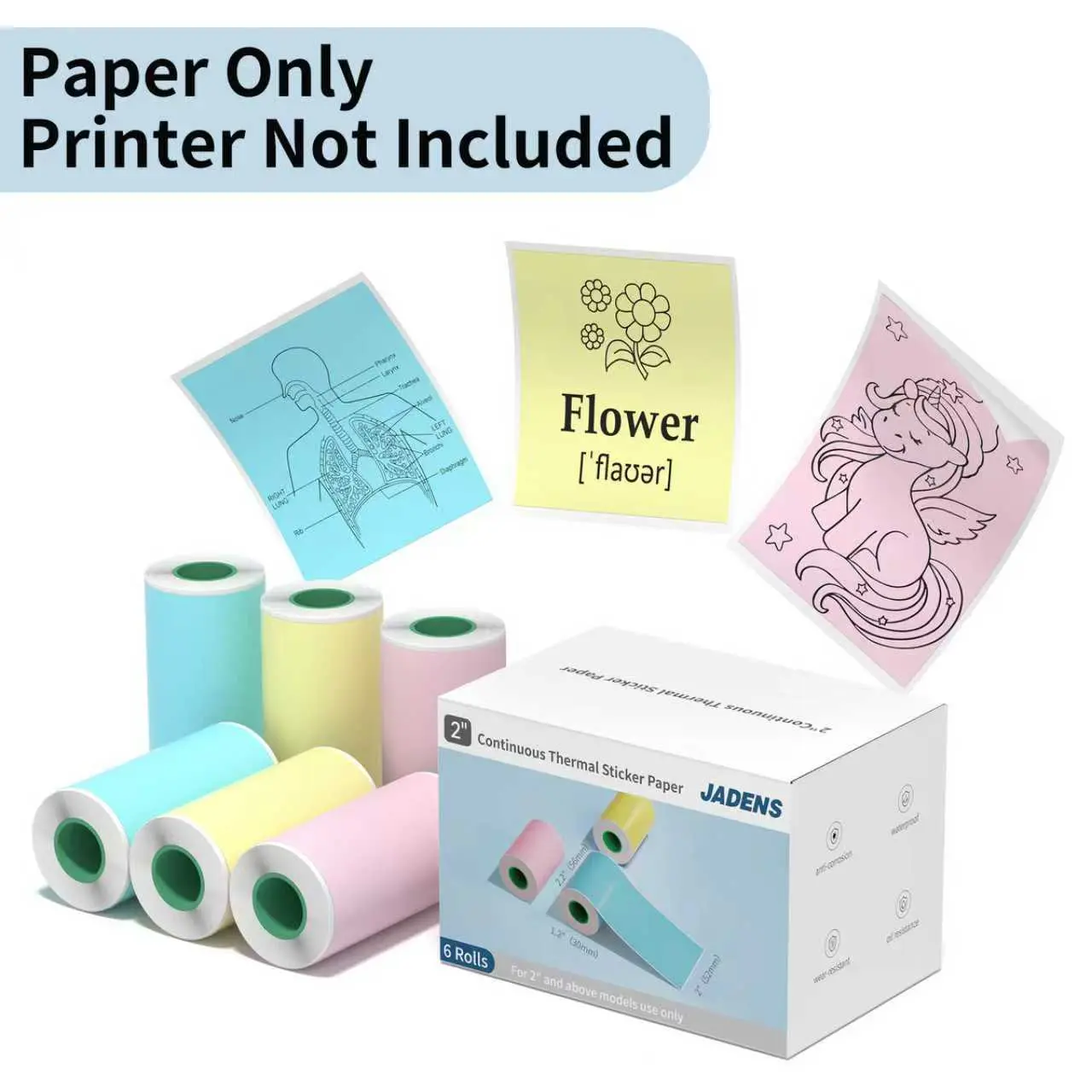 6 Roll Color Sticker Label 