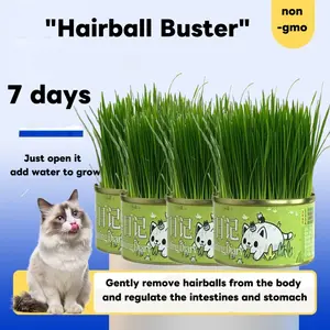 WhiteBear Organic Cat Grass Indoor Growing Kit - Includes organic seed mix, vermiculite, and premium wheat seeds.  Naturally helps with hairball control and digestion. Ready to grow right out of the can, making it the perfect gift for your cat.