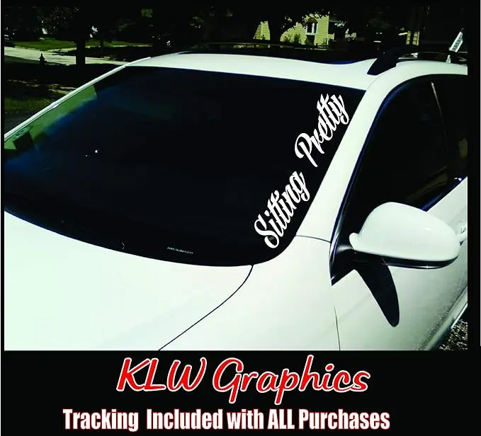 Sitting Pretty Side Banner Vinyl Decal Sticker Diesel Car Dub Euro Truck 4x4 2500 JDM