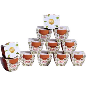 Daisy Grow Kits | Daydream Mini Terracotta Pots (12 Pack)
