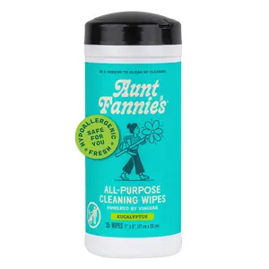 Aunt Fannie's Natural Cleaning Vinegar Wipes, Multipurpose Surface Cleaner, Eucalyptus Scent, 35 Count (Pack of 1), Packaging May Vary