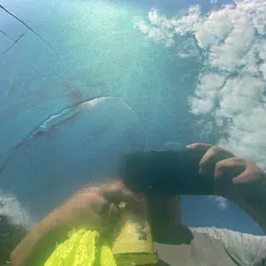 Moxy Turbo APC Ultra-Strength All-Purpose Cleaner Concentrate – Maximum-Power Degreaser for Interior, Exterior, Engine Bays, Tires, Wheels, Vinyl, Plastics & More – Professional Grade Formula for Deep Cleaning, High Foaming, and Fast Results