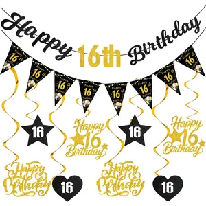 16th Birthday Decorations for Boys & Girls, Theme, 2010 Happy 16 Birthday Banner, Triangle Flags, Hanging Swirls, Streamers, Birthday Party Decorations, Party Decoration Supplies, Party Decorations Banners