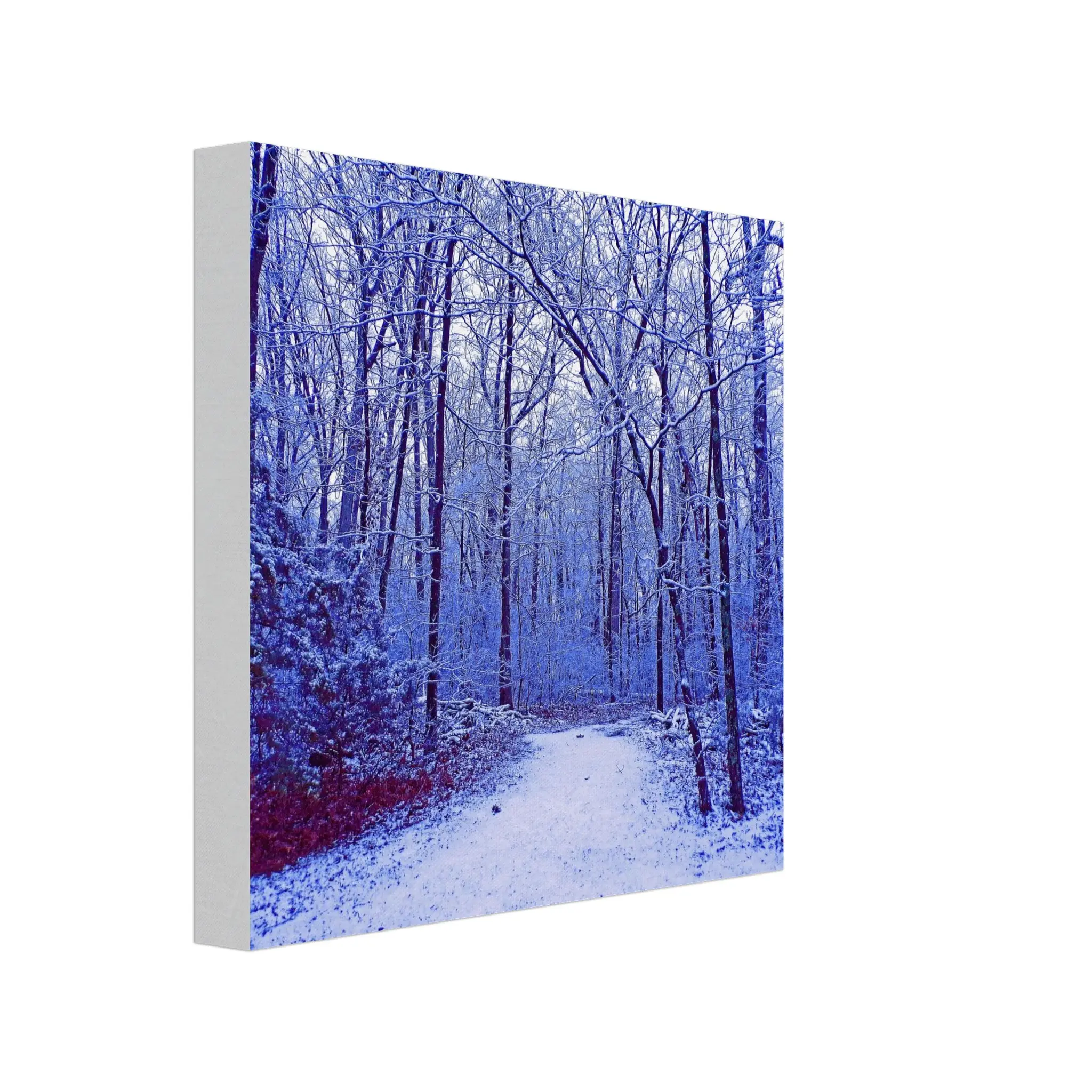 Canvas 20x20 cm / 8x8″