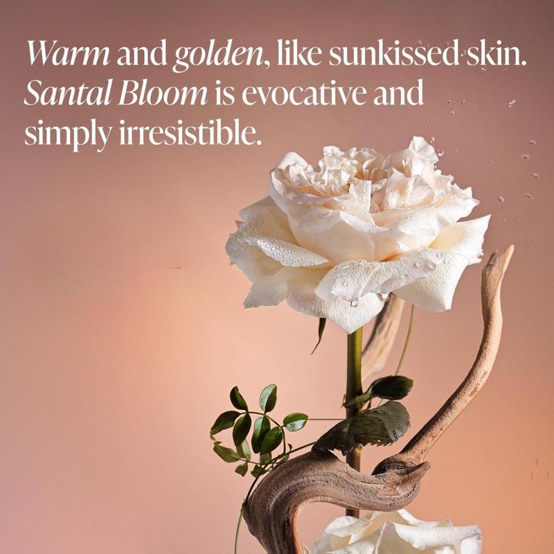 Saltair Serum Deodorant Signature Scents 2 Pack. 5% AHA Formula. Lactic Acid and Mandelic Acid Deodorant. Aluminum Free Odor Control for Women and Men. Travel Essentials, 2x 1.7oz Roll On