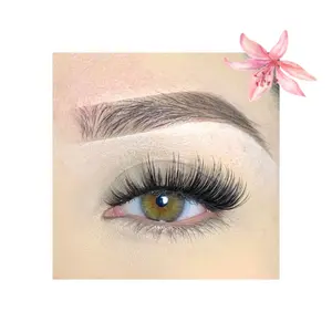 Lily Lashes - Lightweight and Long-Lasting Eyelash Extensions