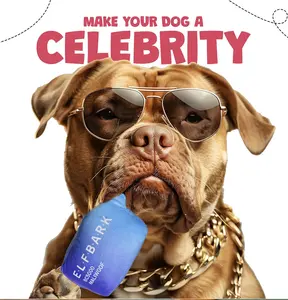 ELFBARK Funny Dog Toys with Squeaker - Cute Parody Toys for Small Medium & Large Dogs - Make Your Dog a Celebrity