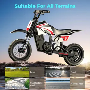 ECOLEAP K1 Electric Bike 36V Motorcycle,16MPH Fast Speed 14 Mile Long-Range,700W Peak 3-Speed Modes Electric Bike for Kids Ages 3-10
