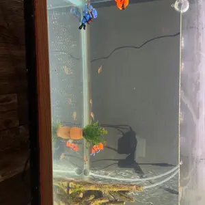 4 Piece Aquarium Diver Decor Set, Floating Landscape Decoration, Trendy Fish Tank Gift, Aquatic Ornament Accessories, Aquarium Building Set