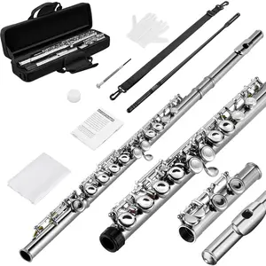 POGOLAB Flutes Closed Hole C 16 Keys Flute Instrument Kit for Beginner Kid Orchestra School Band Student