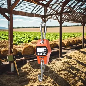 Hanging Scale Handheld 880lb/400kg Crane Scale Luggage Scale with ABS Plastic case Big LCD Display, Portable Digital Mini Crane Scale Fishing Scale for Gym Hunting Travelling Farming