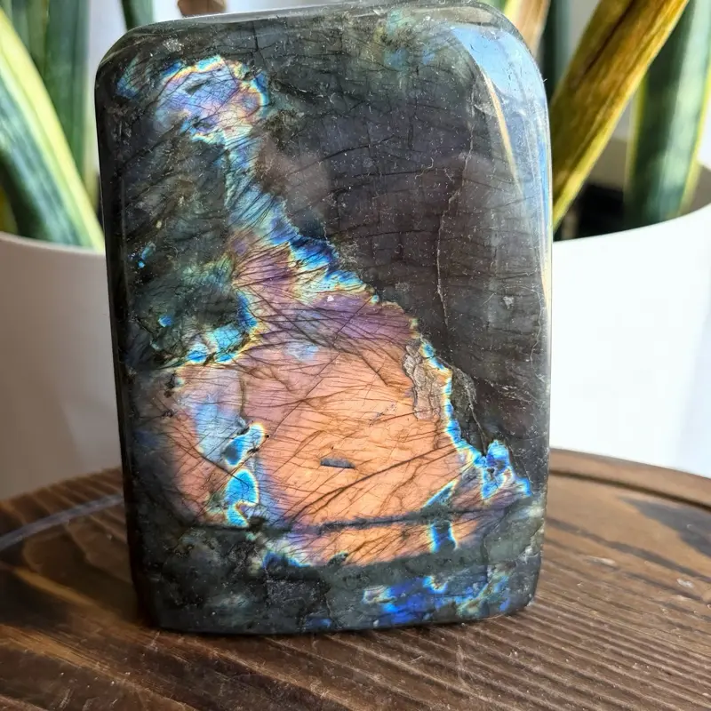 Freeform Labradorite Polished with Flash - Natural Blue Labradorite Stone for Healing & Decor