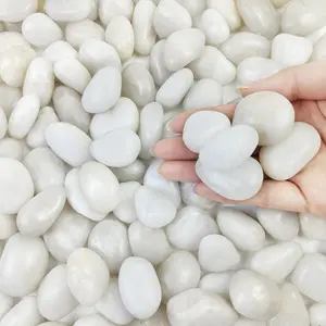 10 lbs White Pebbles for Indoor , 0.8-1.2 Inch Small White River Rocks Stones for Planters, Vases, Fish Tank, Garden, Landscaping, Top Dressing and Bottem Drainage