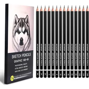 Professional Drawing Sketching Pencil Set - 14 count Graphite Pencils(14B - 4H), Ideal for Drawing Art, Sketching, Shading, Artist Pencils for Beginners & Pro Artists