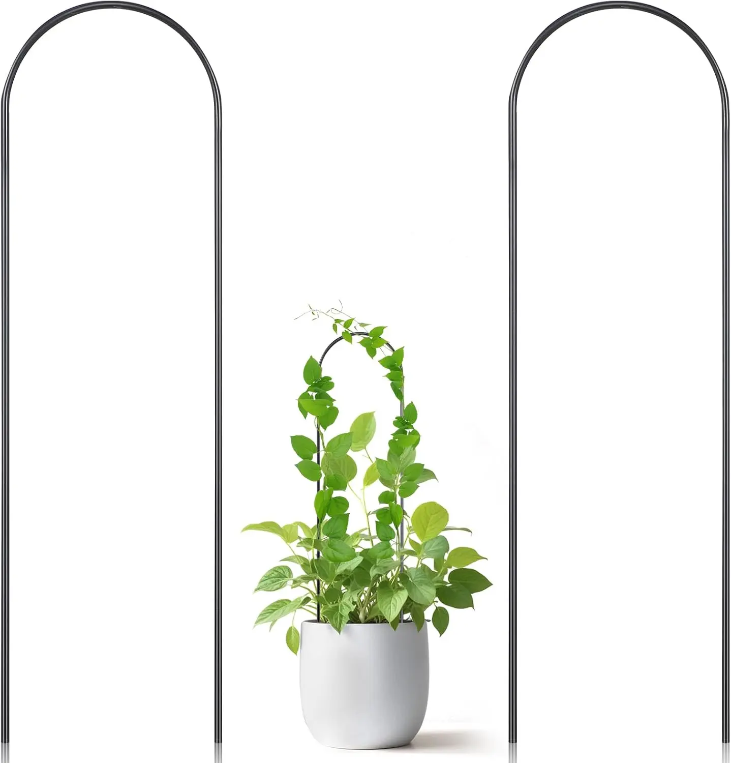2 Pack Hoya Trellis,  Trellis for Pots,U-Shaped Small Trellis for Potted ,13.4 Inch Metal Indoor  Trellis for Potted  for Vine Ivy Hoya Monstera,Indoor Outdoor Use, Black