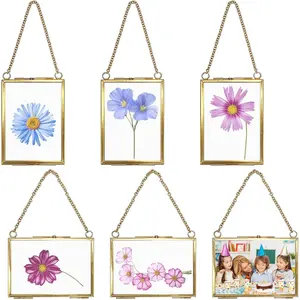 6Pcs Wall Hanging Mini Photo Frames,2.36x3.54Inch Square Glass Hanging Picture Artwork Display Frame DIY Vintage Artwork Display Frames for Pressed Flowers Pictures Home Wall Decor