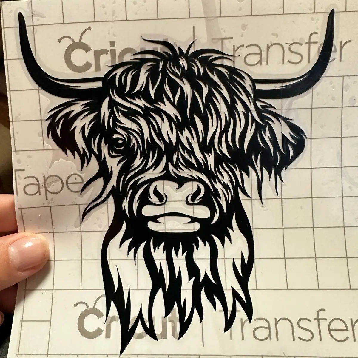 The cutest highland cow decal you have ever seen! The cutest highland cow decal you have ever seen!