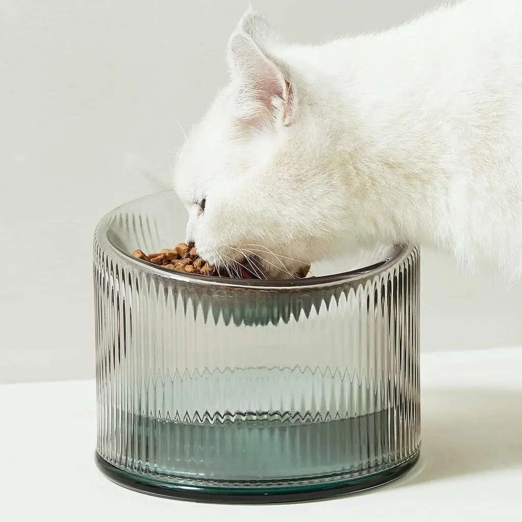 Cat bowl Handmade Glass Elevated Cat Bowl with Stand - Raised Food & Water Dish