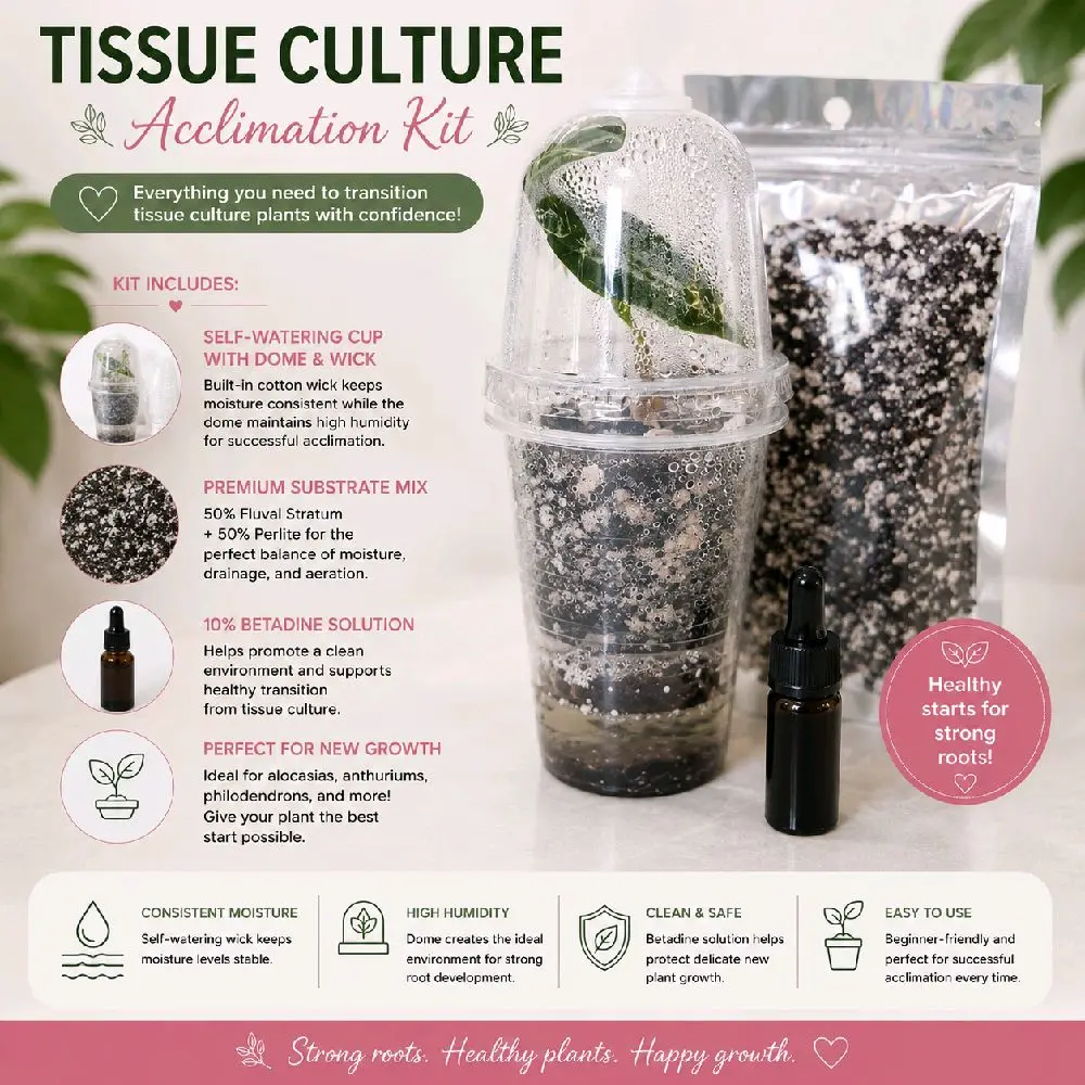 Self-Watering Tissue Culture Acclimation Kit with 50/50 Ratio Fluval Stratum Substrate Mix, Perlite, Disinfecting Function - Garden Supplies for Beginners, Plant Collectors, Rare Plants (Supports Root Health, Carefully Selected Components)