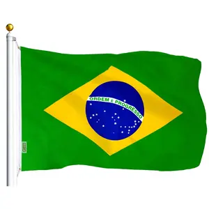 Brazil (Brazilian) Flag 75D Printed Polyester 3x5 Ft