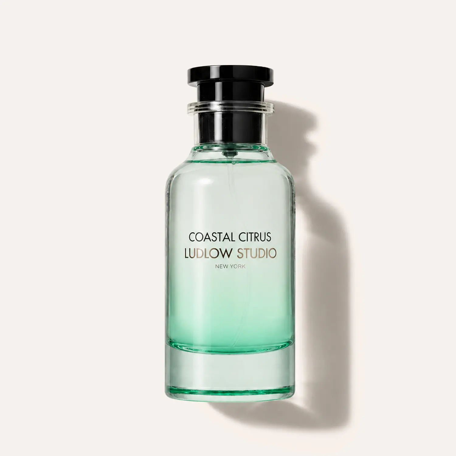 Odosbeauty Ludlow Studio Coastal Citrus Parfum, Aromatic Fruity EDP - 20% Fragrance Concentration, 100ml, Notes of Citrus, Apricot, Lemon, May Rose, Fig - Vacation Vibe Fragrance