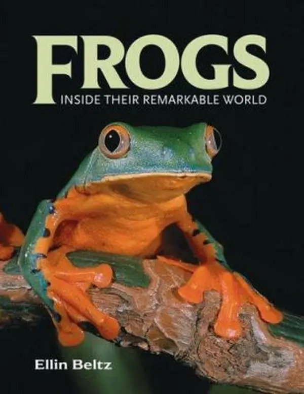USED Book - Frogs: Inside Their Remarkable World by Ellin Beltz (Hardcover) - english