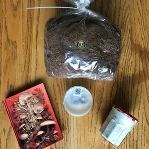 Brooklyn Mushroom Apprentice Mycologist getting started pack. Everything you need to learn how to grow mushrooms at home.