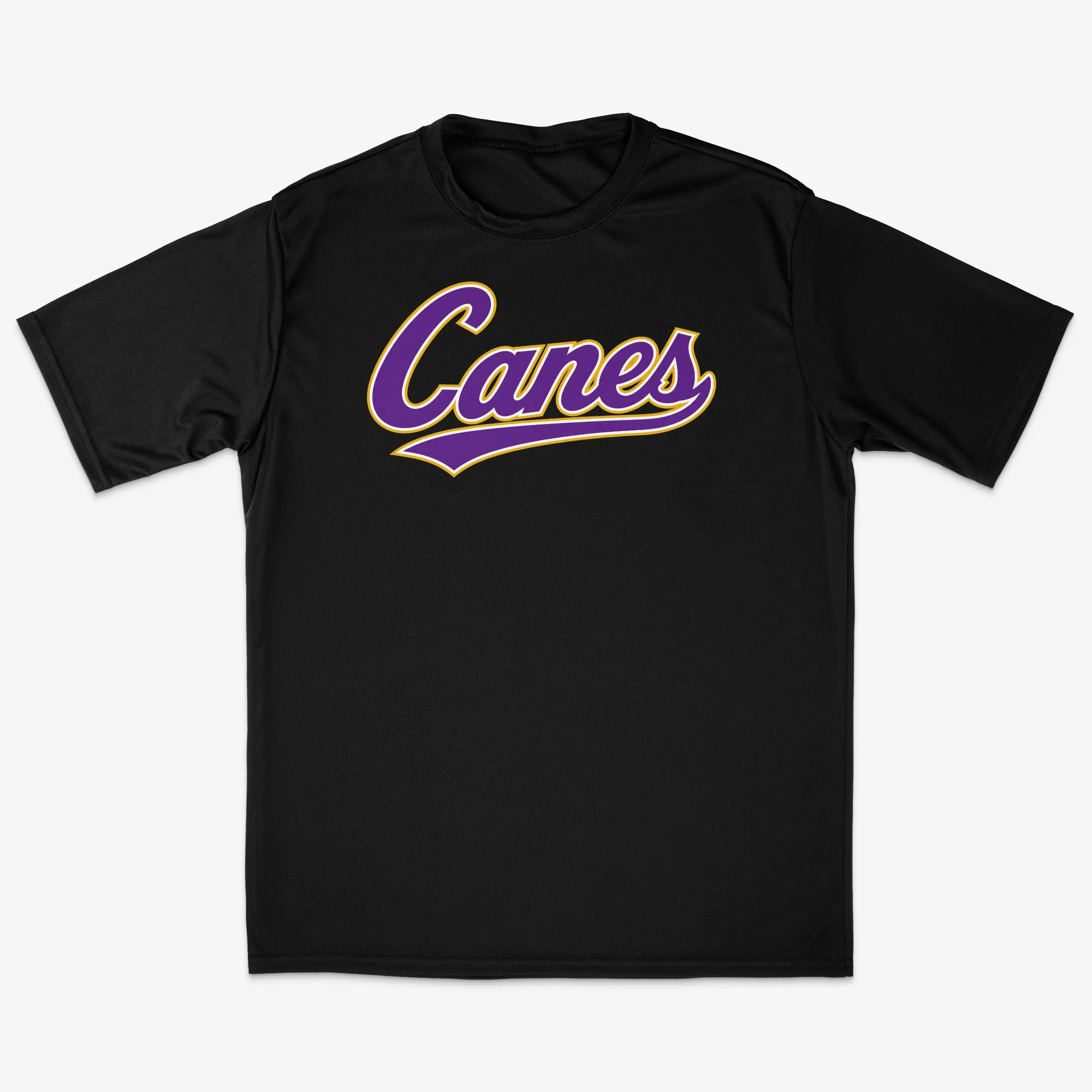 Men's All-Star Canes Logo Polyester Performance Tee, Menswear Tops with Multi-Size Options