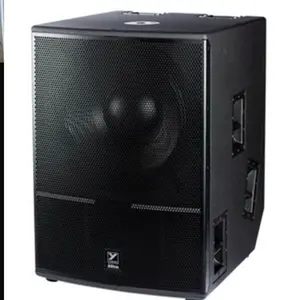 Yorkville Sound ES21 P elite series 21”