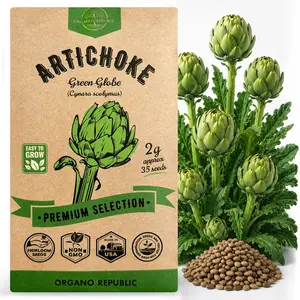 Green Globe Artichoke Seeds Pack 2G